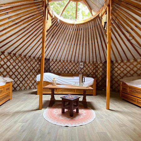 Les Yourtes Du Bearn - Domaine Des Deux Clos Bed & Breakfast Pontiacq-Viellepinte Екстериор снимка