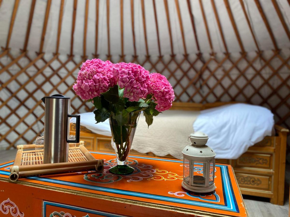 Les Yourtes Du Bearn - Domaine Des Deux Clos Bed & Breakfast Pontiacq-Viellepinte Екстериор снимка