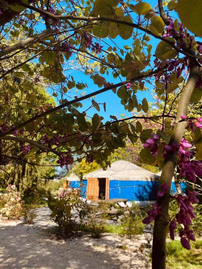 Les Yourtes Du Bearn - Domaine Des Deux Clos Bed & Breakfast Pontiacq-Viellepinte Екстериор снимка